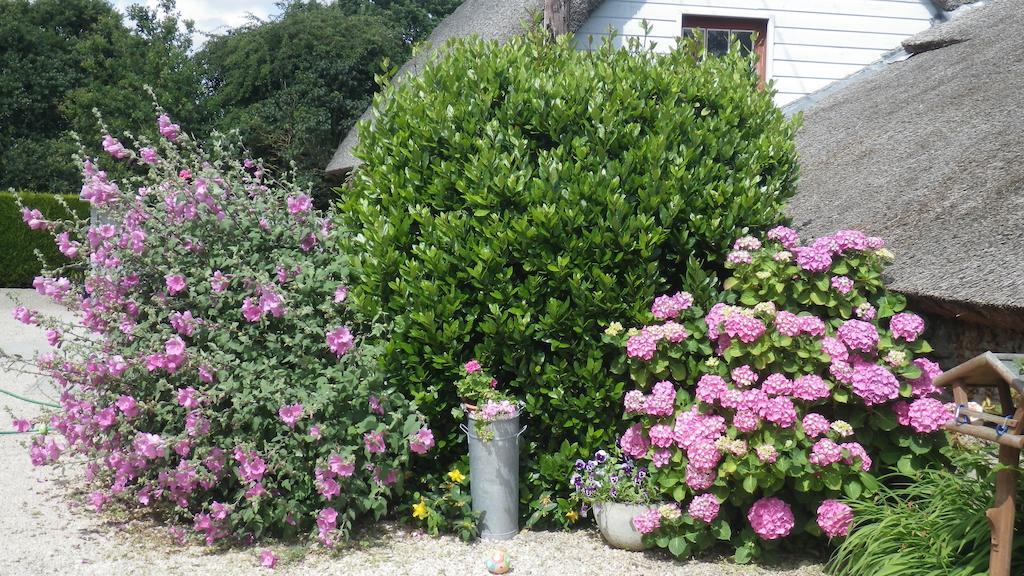 Bed and Breakfast La Musardise Guérande Exteriér fotografie
